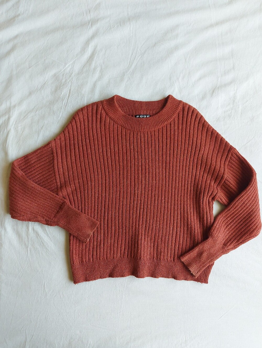 Ribbed Crewneck Sweater in Rust Red-Orange